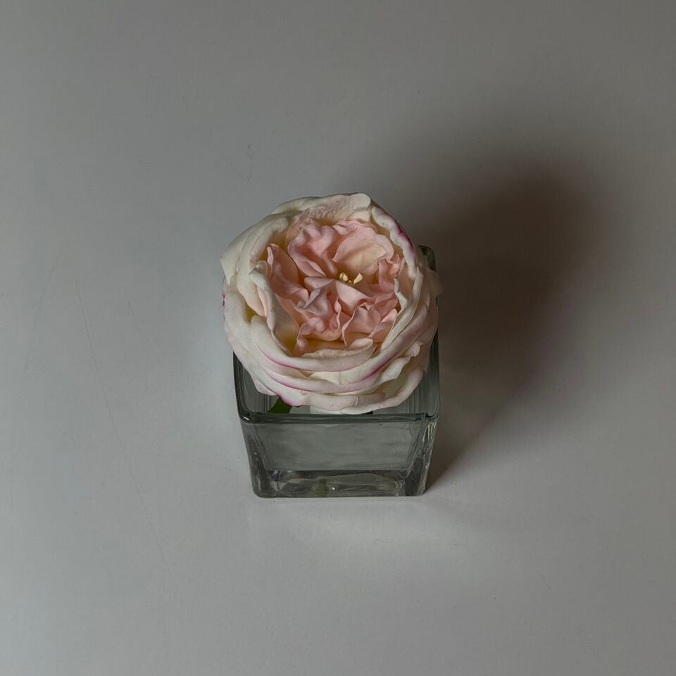 PEMBE ISLAK ŞAKAYIK- ADET